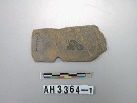 藏品(石器殘片)的圖片